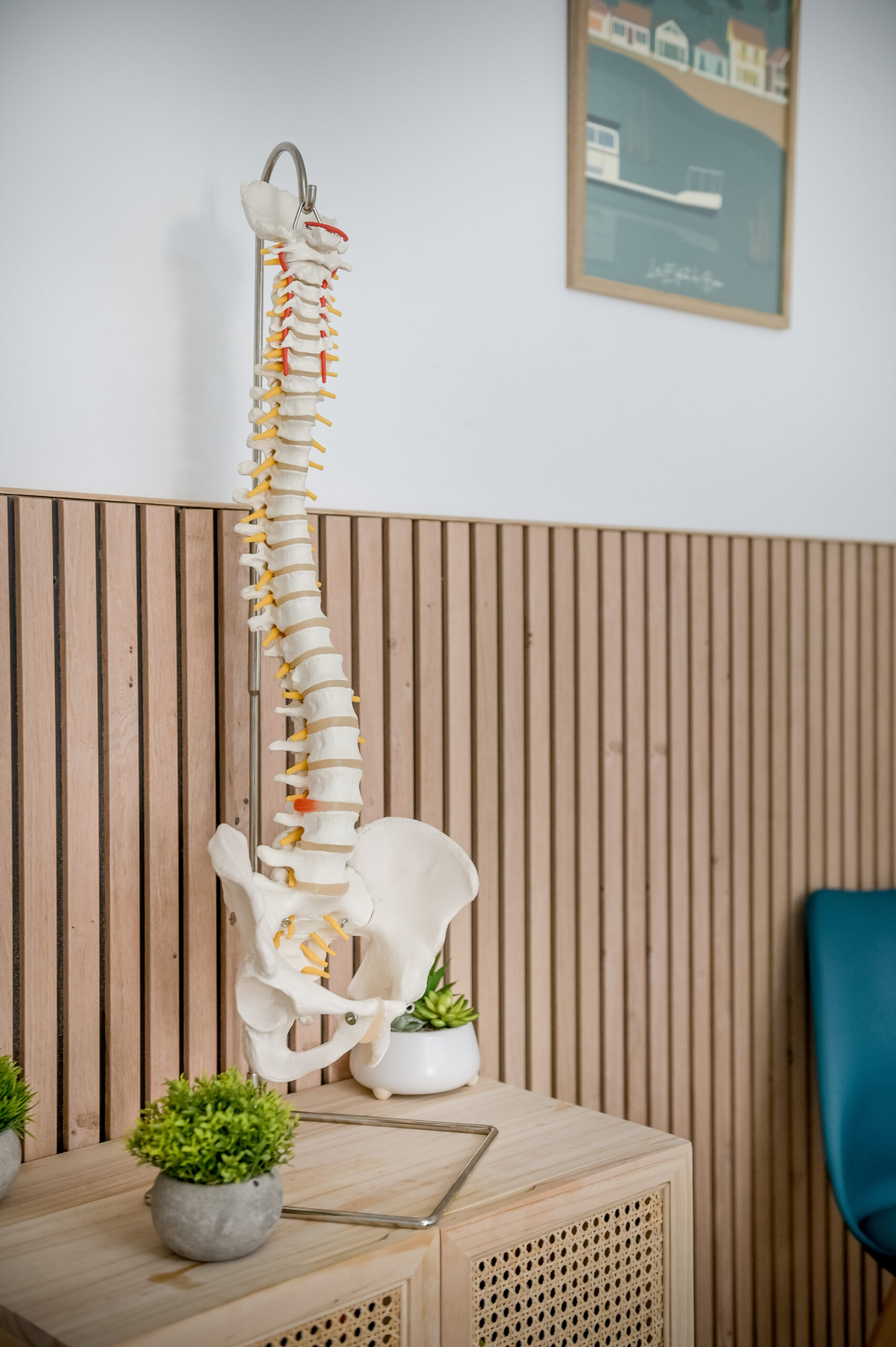 Chiropraxie, chiropracteur, Nantes, chiropratique